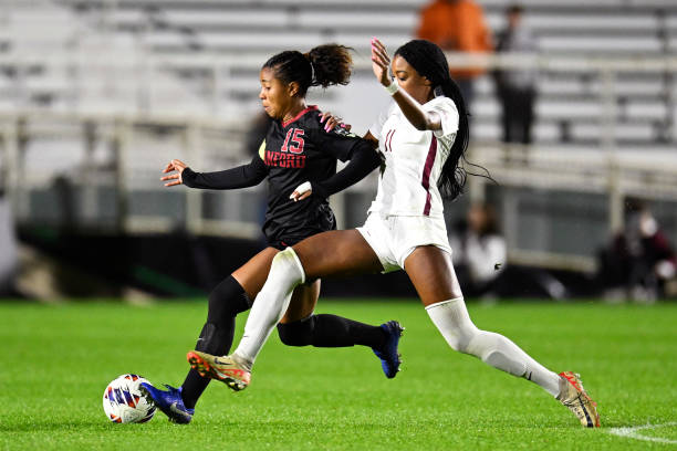 新西兰的崛 新西兰的崛