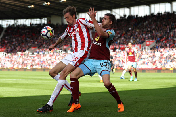 保护以及倡 保护以及倡