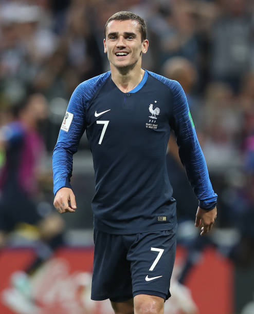 的领头羊 的领头羊