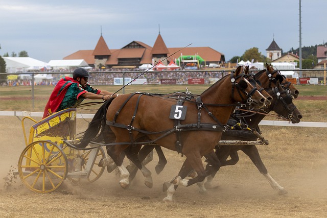 着杀伤力 着杀伤力